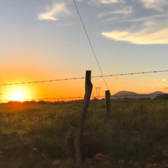 Meet your Posher, Carmen r - Picture 1 of 1